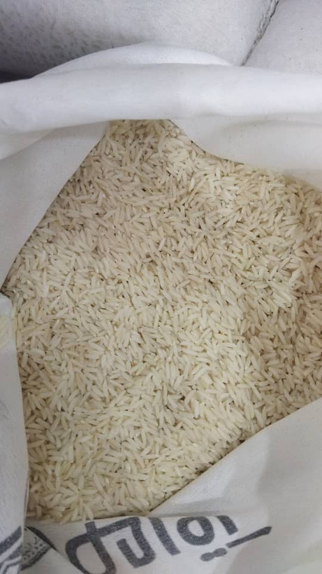 برنج طارم هاشمی فریدونکنار آقاجون