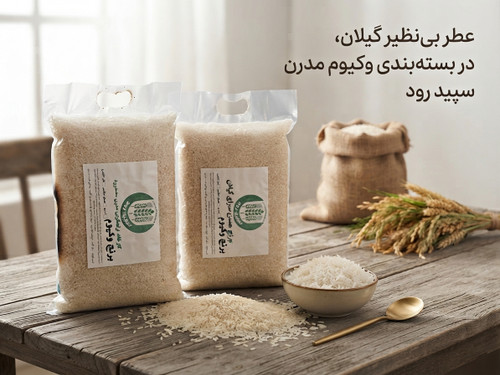 برنج حسن سرا آستانه اشرفیه